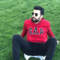 alp95