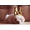 selen555