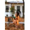 gizemli7