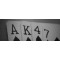 akaya55
