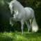 alpererenler