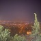 antaly_ali