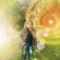 samed1905