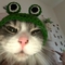Liska_