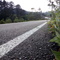 Edax_616116