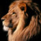dreammaker07