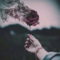 papatya__6
