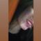 its_iremm
