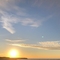 sdeegn
