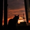 burcu01244