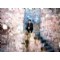 cha_ris_ma-ressam