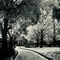 Abdullah_24