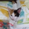 ssamarra