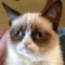 RealGrumpyCat
