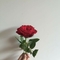 serenay_akarsu