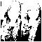 oyhyiter